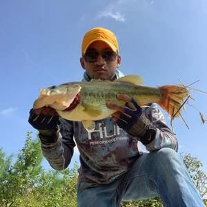 Meet your Posher, Devon